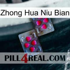 Zhong Hua Niu Bian 15